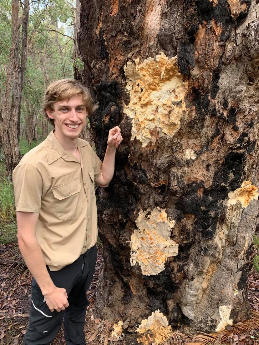 Tom Mansfield Rehabilitating Roe 8